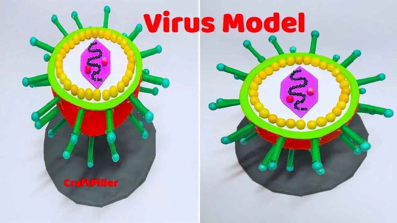 Virus making. Объемная модель вируса. Макет вируса. Модель вируса из пластилина. Мает вируса.