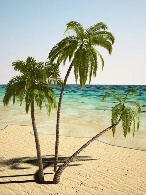 Произведения три пальмы. Кокосовый Оазис Майами. Три пальмы. Три пальмы робтание пальм. Спиленная Пальма.