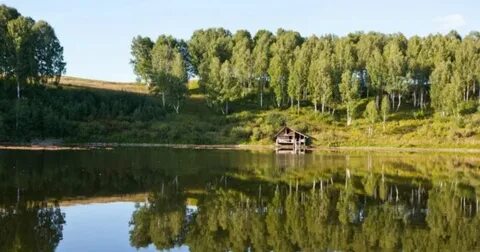 Литвиново сайт платная рыбалка