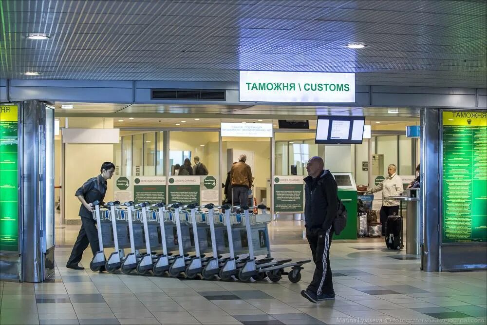 Таможенный контроль шереметьево. Таможенный аэропорт домодедово. таможенная служба аэропорт домодедово. таможенники в аэропорту домодедово. аэропорт домодедово и домодедовская таможня.