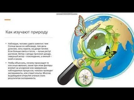 Жизнь на земле 5 класс естествознание