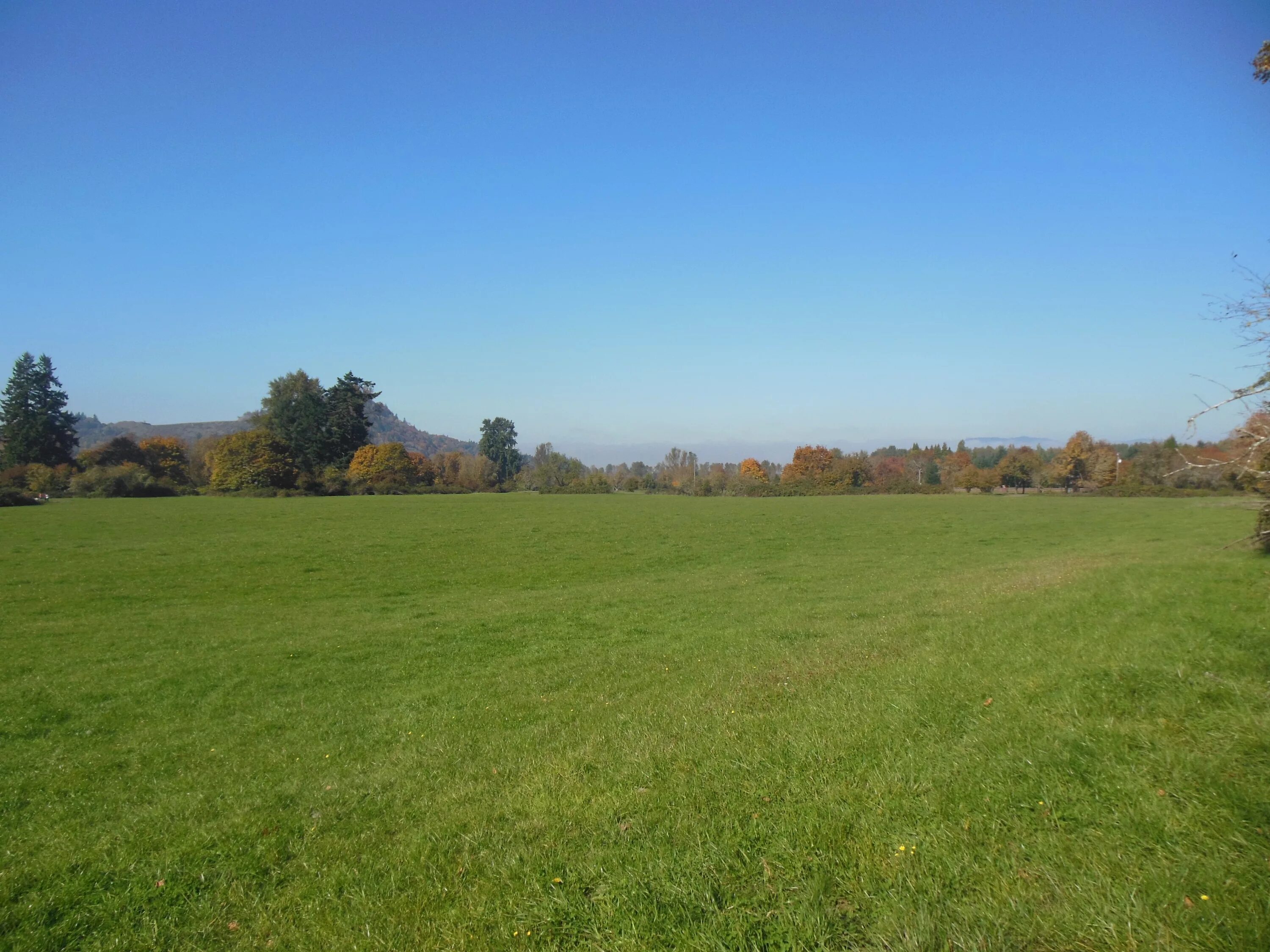Planned field. Grass field. grass field top view. diged field. field texture.