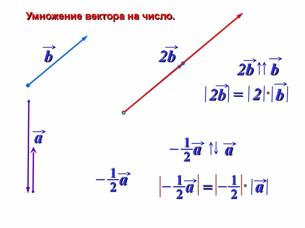 Умножение вектора на число. Умножение векиора на числл. Умножение вектора на ветор. Векторы умножение вектора на число.