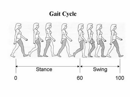 How to make walk animation