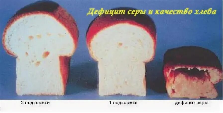 дефицит серы