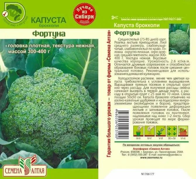 Фортуна сорт капусты брокколи. Капуста брокколи Калабрезе. Капуста брокколи Фортуна, 0,3г.. Капуста брокколи в сибири