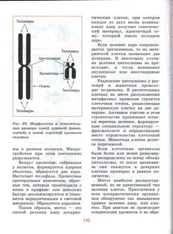 Биология шумный 11 класс. Рувинский биология 10-11 класс. Рувинский общая биология. Биология шумный 10 класс. Учебник по биологии 10-11 класс шумный Дымшиц.