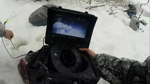 Камеры рыбное