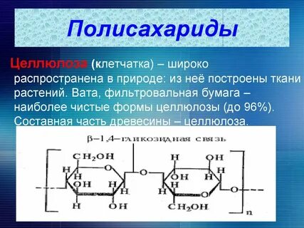 Целлюлоза это белок