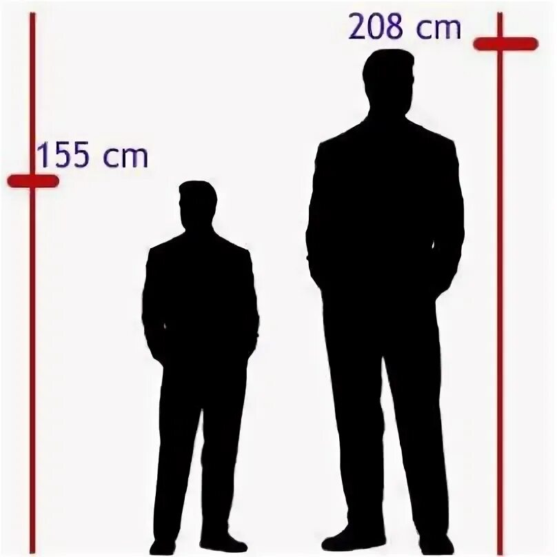 Рост людей сравнение. Рост человека. Человек среднего роста. Высокий рост у мужчин. Низкий средний и высокий рост у мужчин.