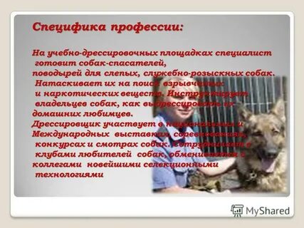 Профессионализмы профессии кинолог