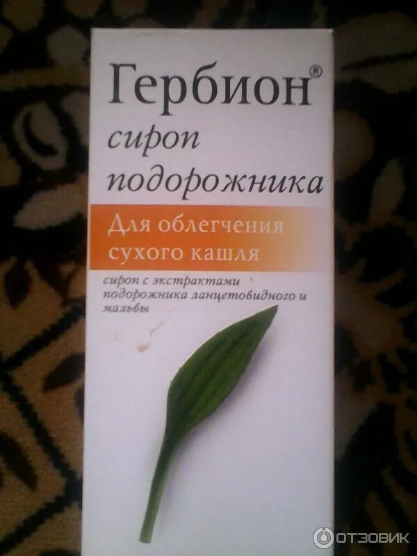 Сироп от кашля с подорожником гербион. Гербион сироп первоцвета. Гербион с подорожником отзывы. Гербион с подорожником от сухого кашля. Гербион сироп подорожника от сухого кашля.