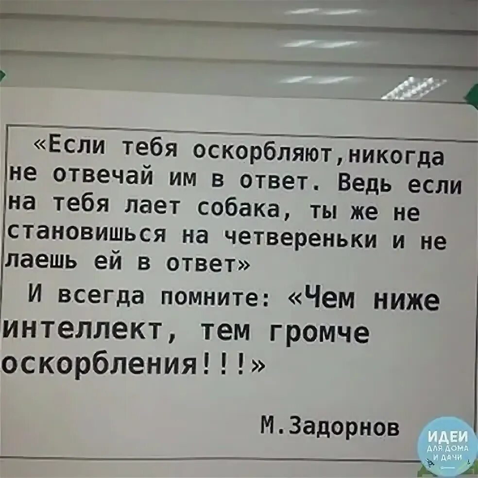 Как грамотно ответить на оскорбление
