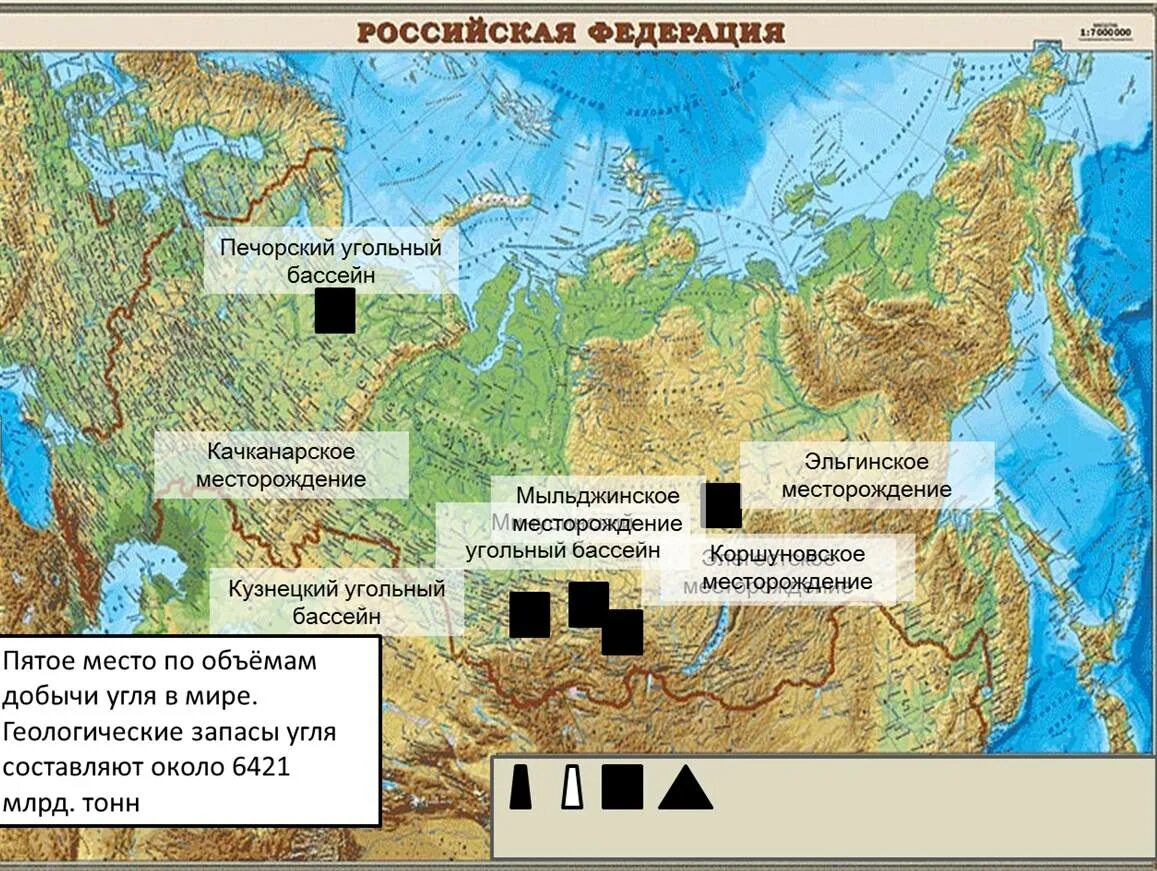 Расположите основные