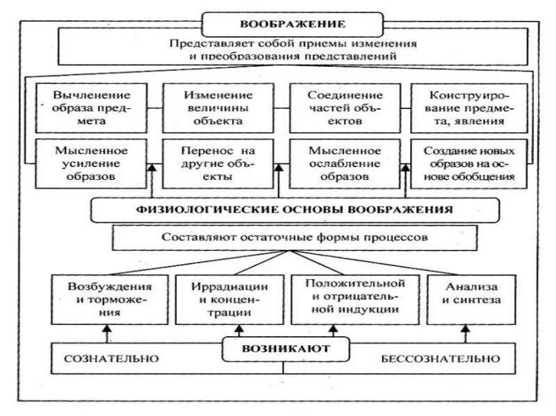 Физиологические основы воображения. Физиологические основы воображения в психологии. Физиологические основы процессов воображения. Представление и воображение. Норма воображения