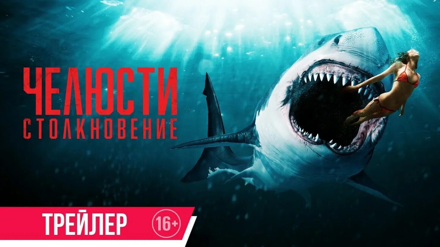 Челюсти. Столкновение (Shark Bait) 2022. Челюсти столкновение 2022.