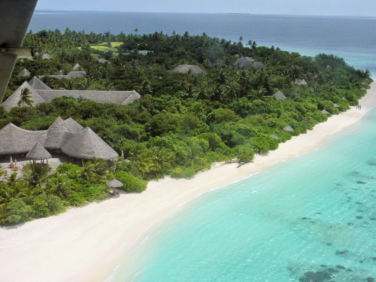 Coco мальдивы. Coco palm мальдивы. coco palm dhuni kolhu. coco palm dhuni kolhu карта острова. coco palm dhuni kolhu beach villa.