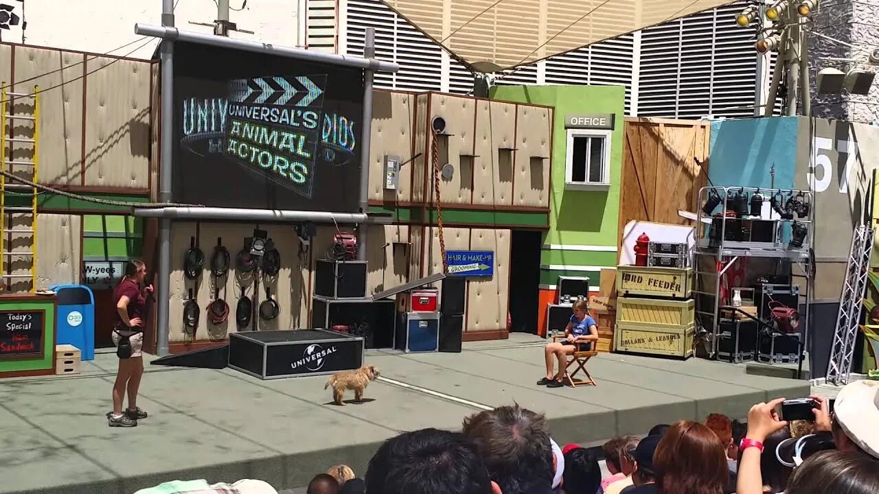 Анимал Студиос. Какие животные в Голливуде. Hollywood animal похожие. Animal actors on location Universal Studios Florida.