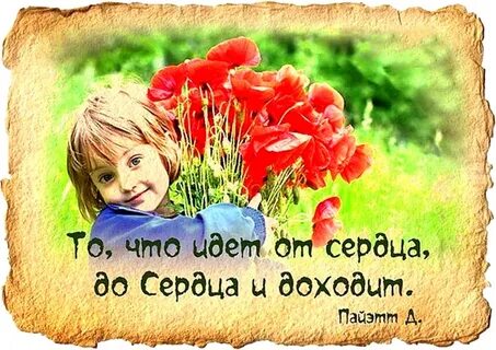 Добра любви и понимания вам