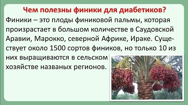 Сколько фиников можно при диабете