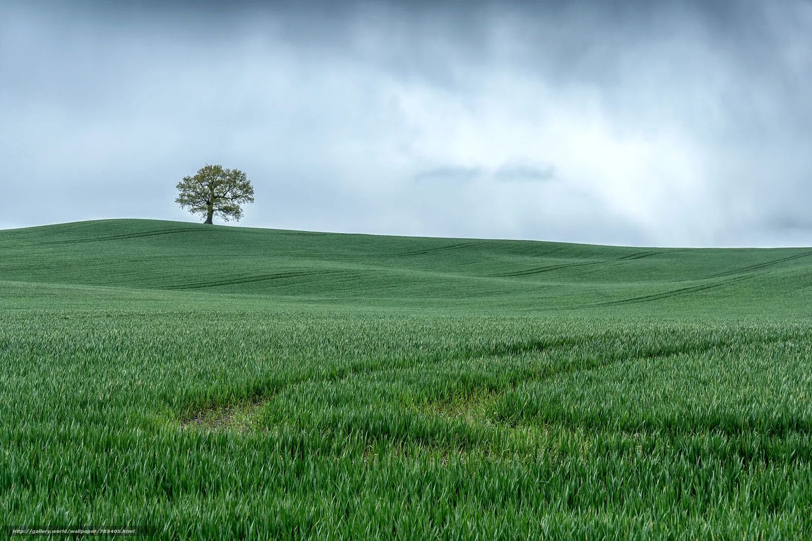Зеленые холмы смоленск. Зеленые холмы и горы. Холмистая равнина молдавии. Зеленые холмы 212525. Трава холм.
