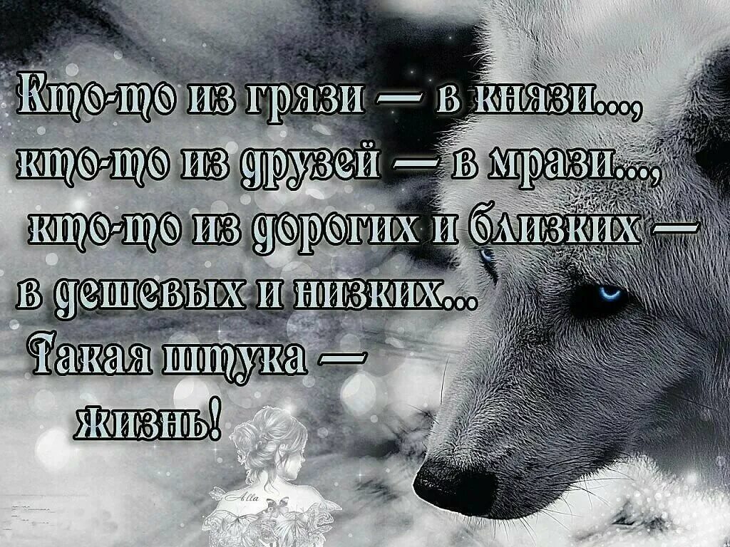 Очень красивые мысли. Статусы про жизнь. Красивые цитаты про жизнь. Статусы со смыслом. Красивые статусы.