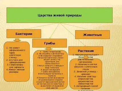 Сколько царств в мире. Сколько царств в мире