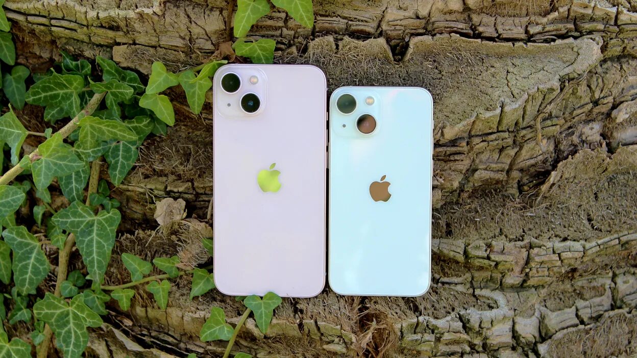 Iphone 12 mini и 13 mini. Iphone 13 Mini. Iphone 13 vs 13 Mini. Apple iphone 13 Mini Apple. Iphone 13 Mini и iphone se 2016.