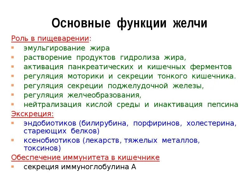 Желчь в переваривании жиров. Основные функции желчи. Роль желчных кислот в пищеварении. Функции желчи в пищеварении. Функция желчи в процессе пищеварения.