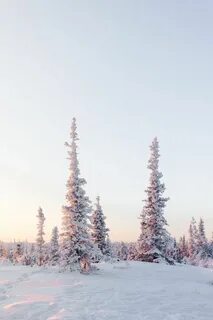 Светлые зимние
