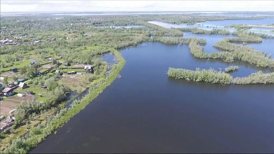 Уровень реки обь в районе города нижневартовск. Река обь нижневартовск. река обь хмао. река обь сургут.