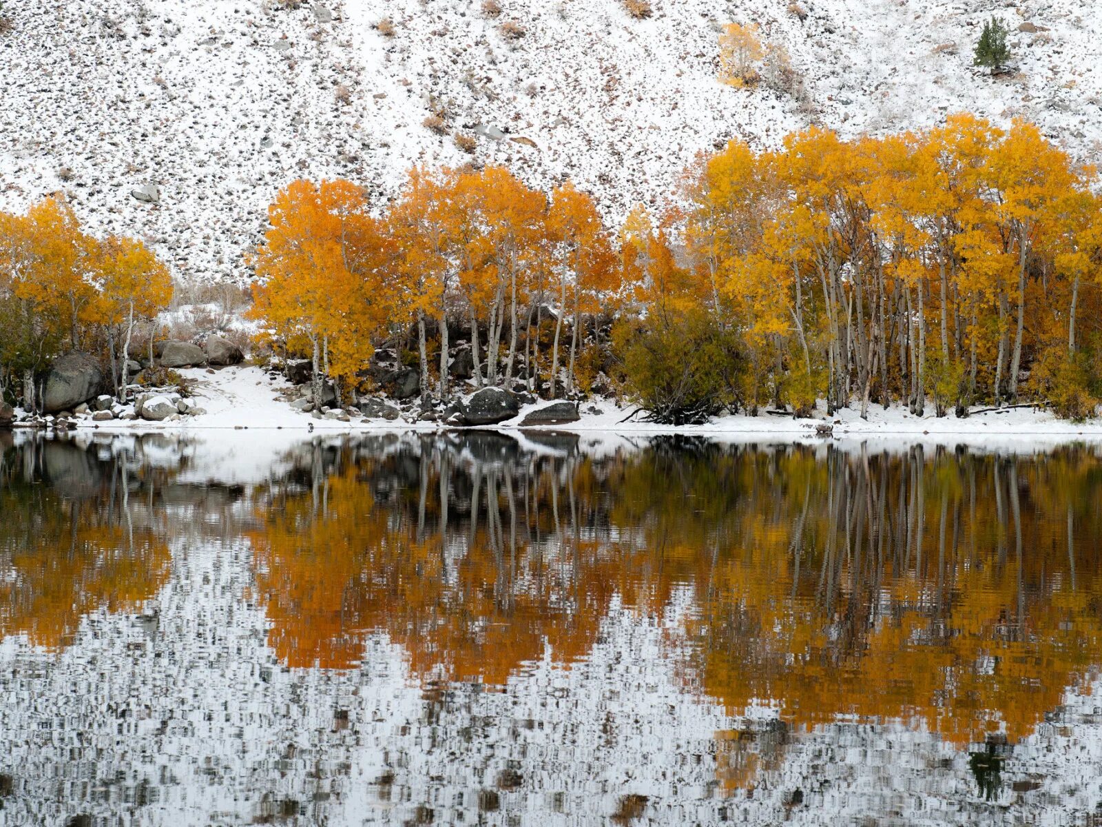 Ранняя зима. Осень снег. Осени зимний период. Осень зима. Красивая осень снег.