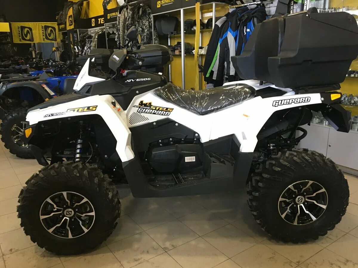 Стелс 650 квадроцикл. Квадроцикл stels atv 650 Guepard St. Stels 650 квадроцикл белый. Квадроцикл гепард 650 кубов.