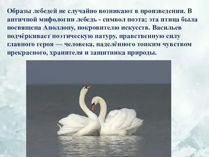 Бальмонт белый лебедь стихотворение