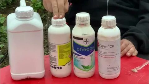 Можно ли розы обрабатывать препаратом 30
