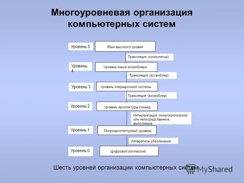 Трансляция уровень организации