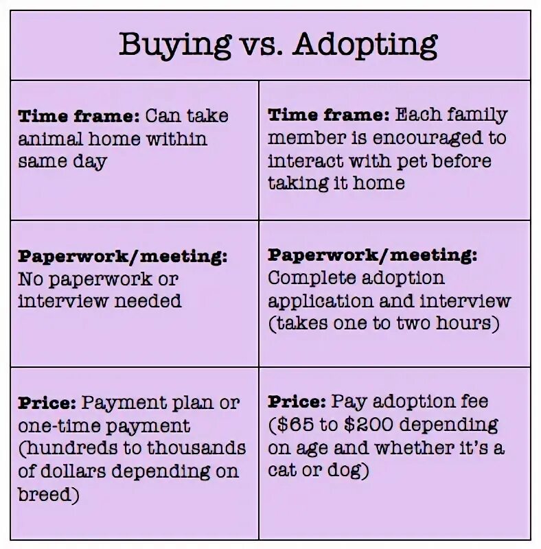 Pros and cons of keeping pets. What is adopting Word.