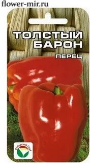 Перец толстой