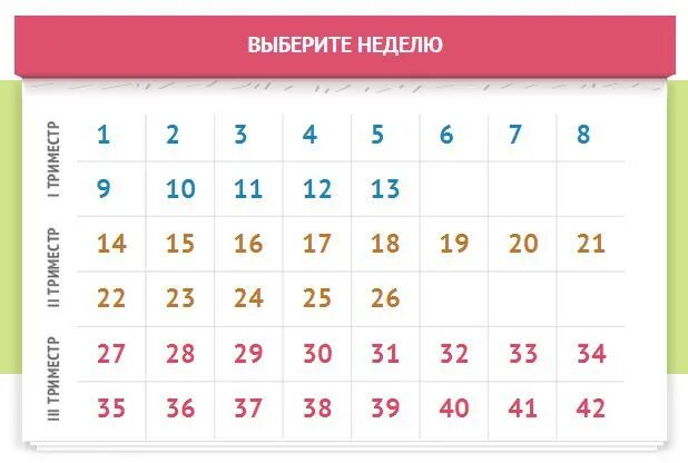 40 недель это месяцев. Календарь беременности. Беременный календарь. Календарь недель беременности. Календарь беременности поинеднлям.