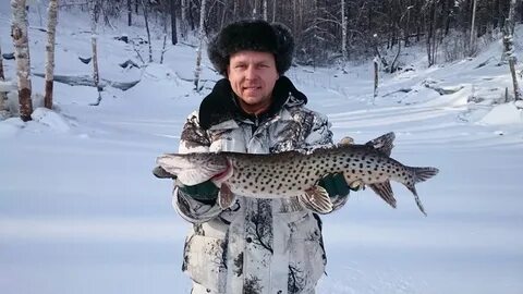 Амуртаймень