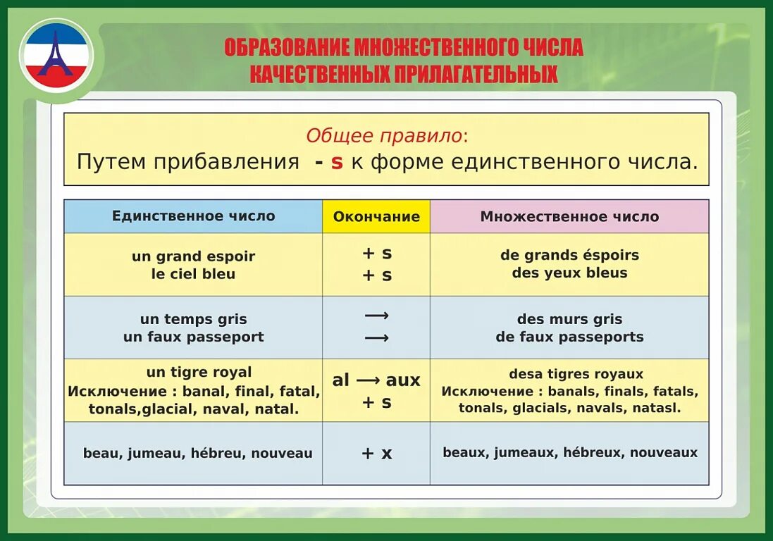 Лис множественное число. Множественное число прилагательных во французском языке. образование множественного числа. правило образования множественного числа в английском языке. множественное число прилагательных во французском.