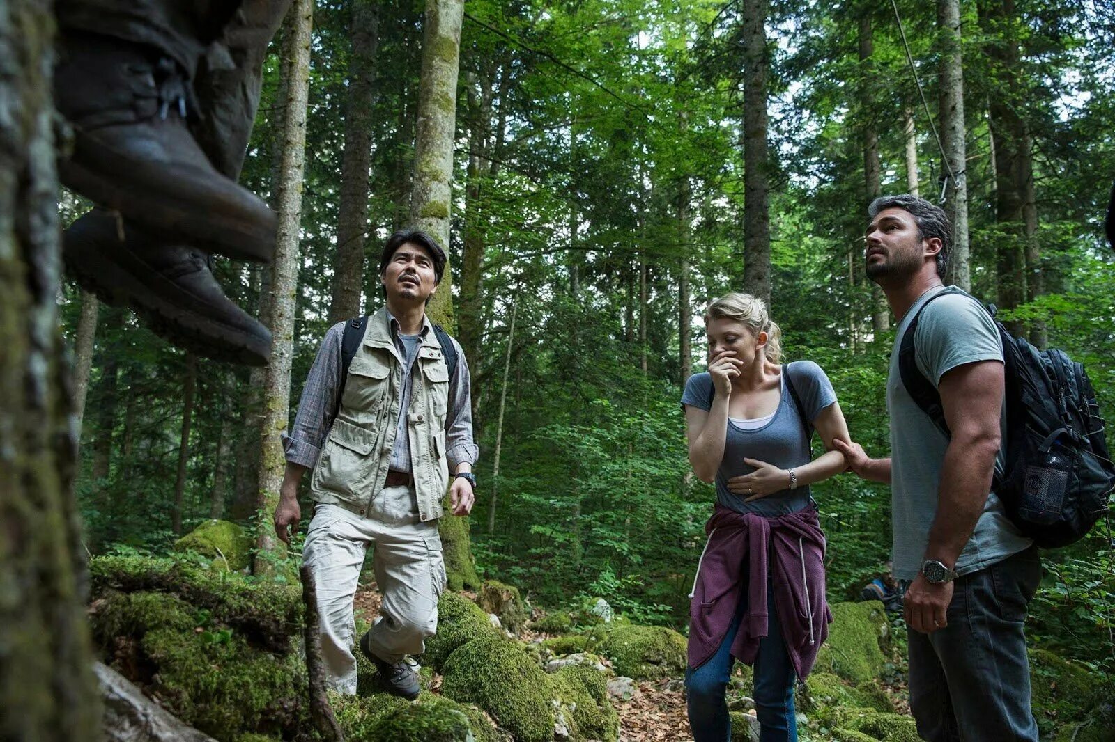 Люди сломались и начали себя странно вести. Лес призраков (the Forest), 2015. Натали Дормер лес призраков.