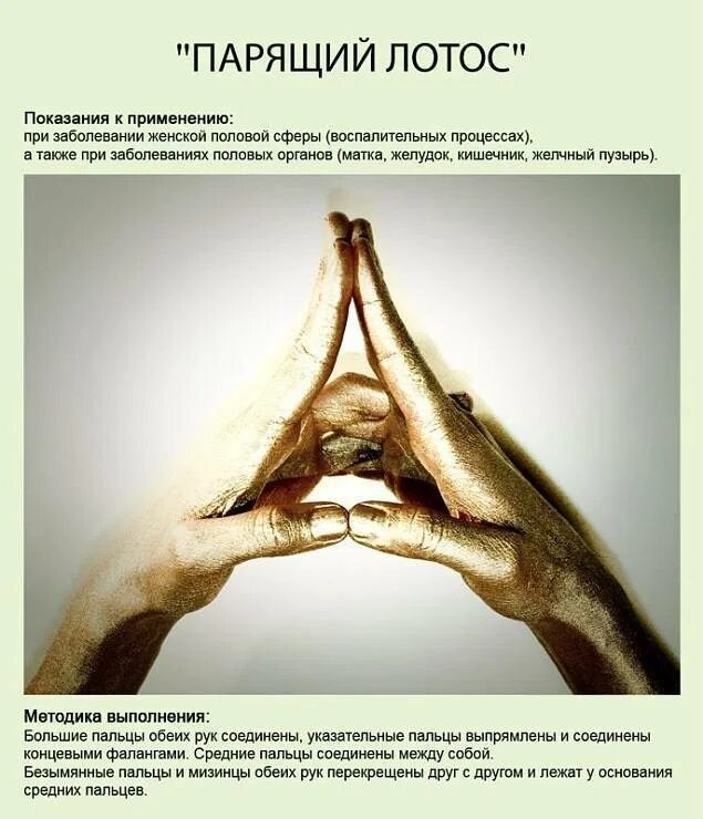Мудра информации