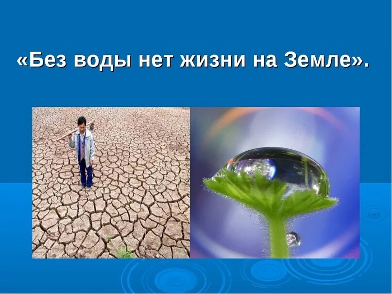 Без воды нет жизни на земле. Вода жизнь на земле. Вода это жизнь. Жизнь без воды невозможна.