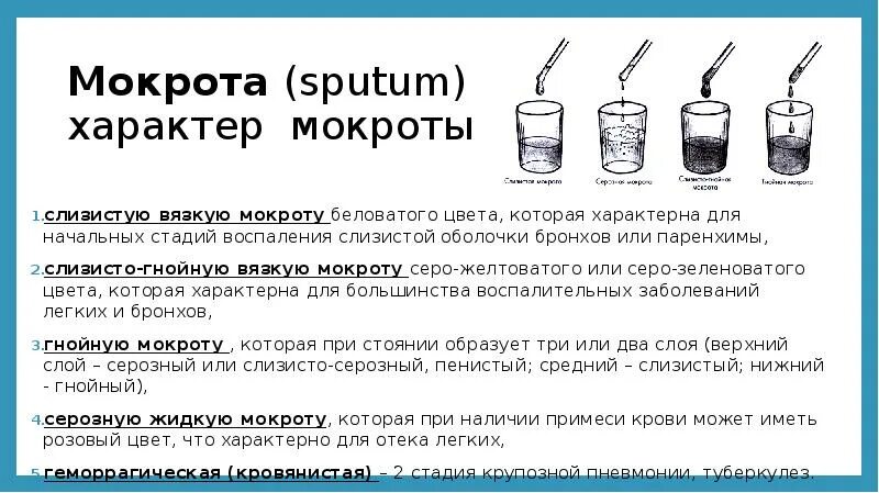 Примеси в мокроте. Слои мокроты. Характер мокроты.