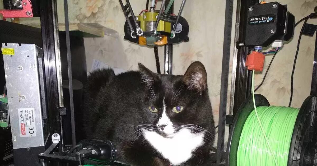 Котик принтер приложение. Кот на 3д принтере. кот и принтер. котик для принтера. котик 3д печать.