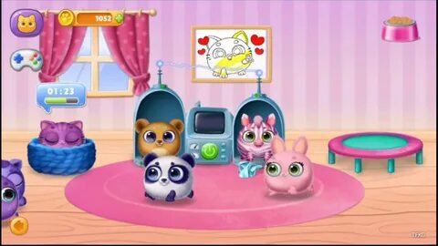 My cute pet