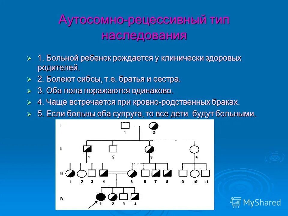 Как определить аутосомно рецессивный признак. Схема родословной на аутосомно-доминантный тип наследования. Аутососнорецессивный признак. 2. Как определить аутосомно рецессивный признак.