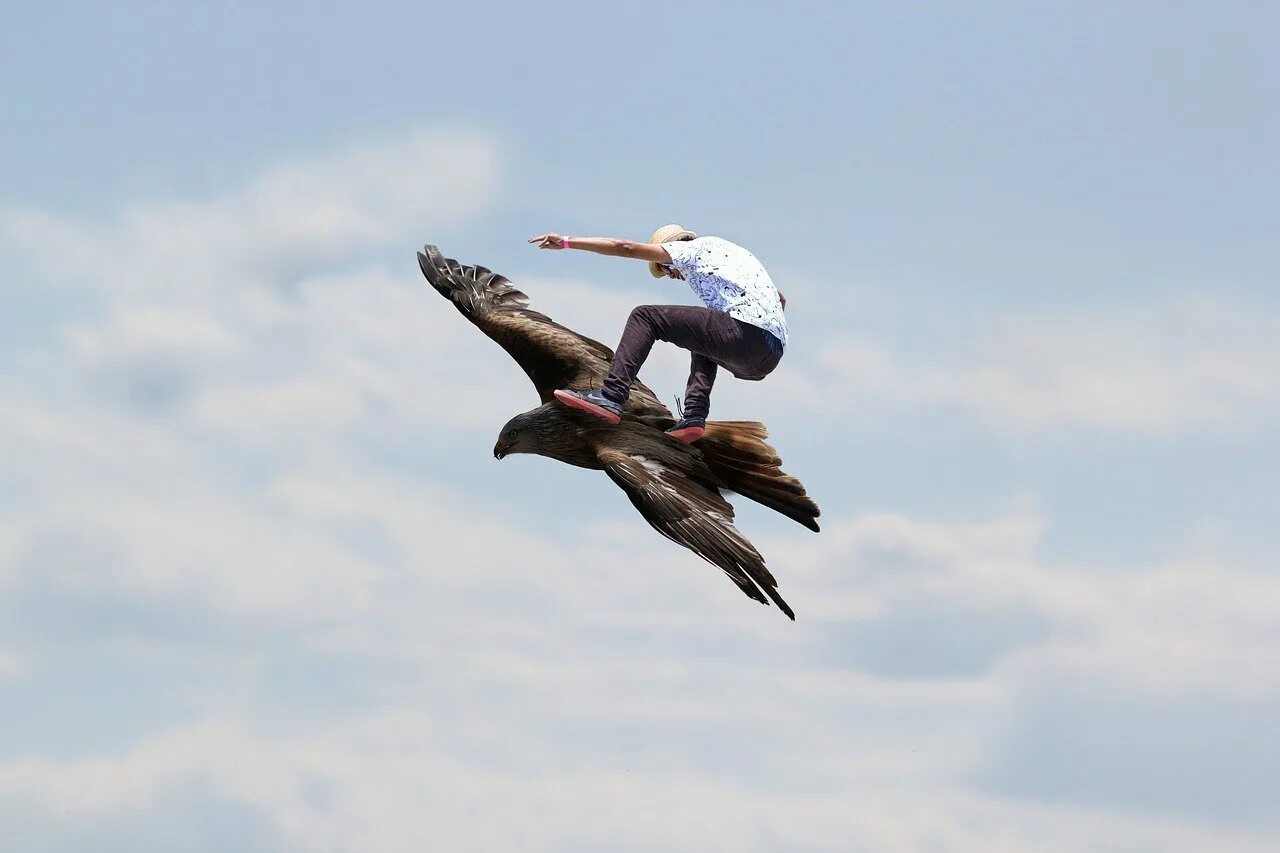 Полетаем speed up
