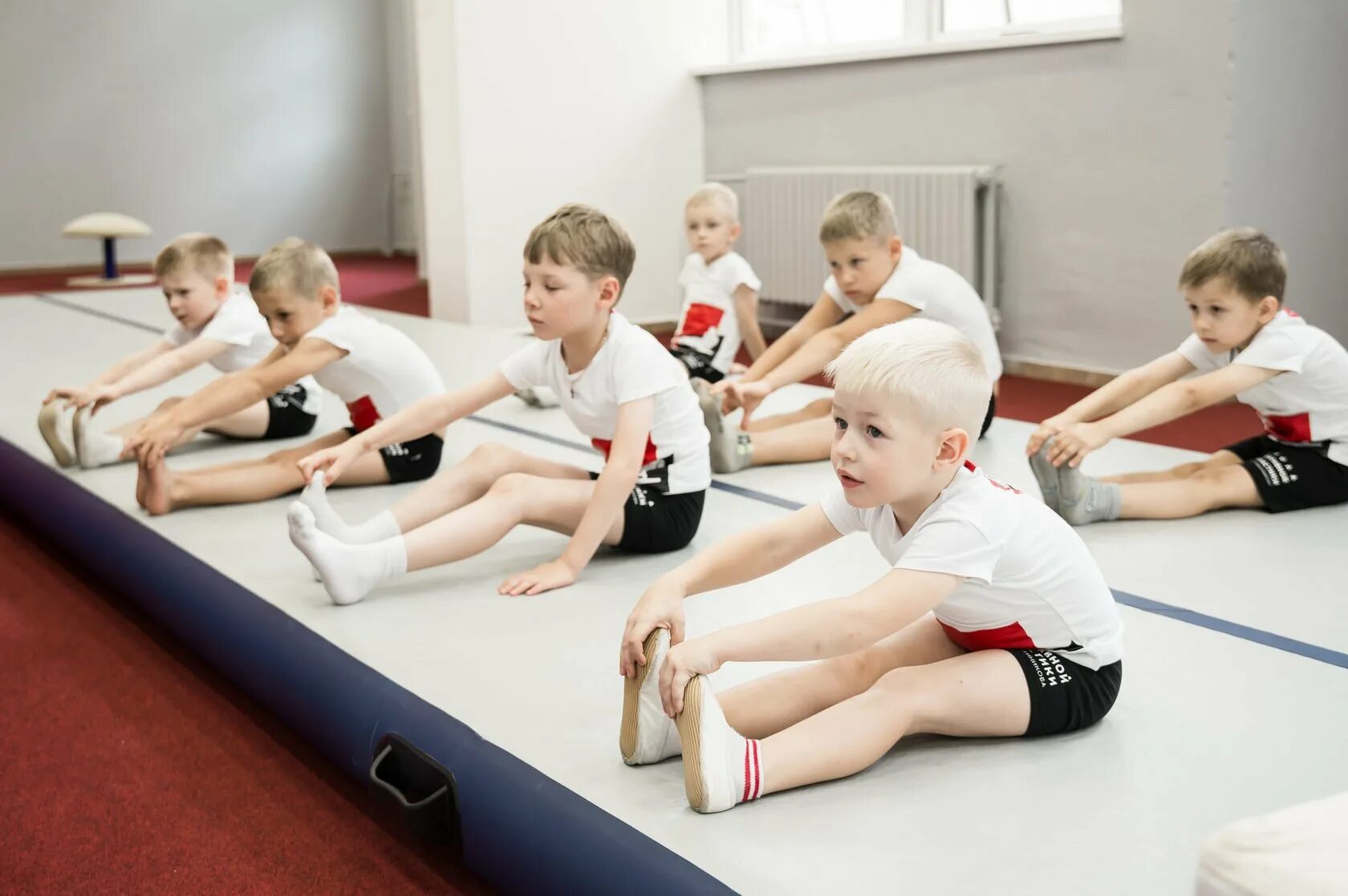 Спортивная гимнастика лучшая школа